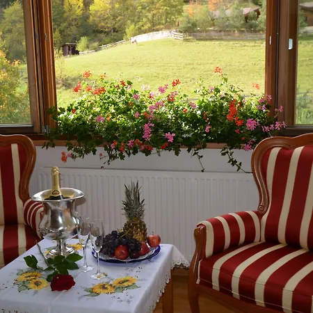 酒店 Zugspitze 莱尔莫斯