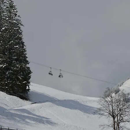 Hotel Zugspitze 4*